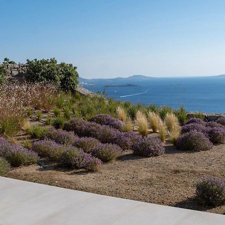 Zelia B&B & Villa Mykonos Town Екстер'єр фото